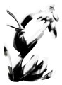Blooming flower